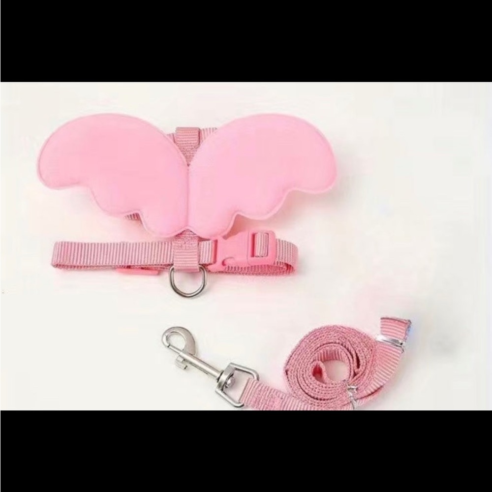 Pet harness and leash